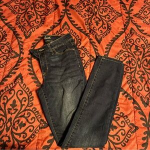 NWOT Womens Universal Thread Dark Wash Mid Rise Skinny Jeans 0/25 R